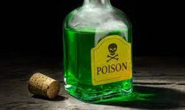 अबब सुनेनेच केला सासऱ्याला मारायचा प्रयत्न