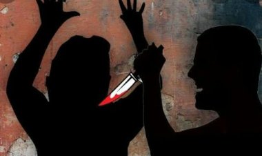 घरगुती वादातून पत्नीच्या डोक्यात घातले मुसळ व चाकूने भोसकले शेवटी फरार पती अटकेत