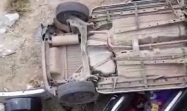 कारसमोर जनावर आडवे आल्याने कारवरील नियंत्रण सुटले