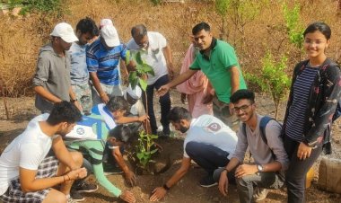 भांगसीमाता गडावर वृक्षलागवड व संवर्धन  नागरिकांना सहभागी होण्याचे आवाहन