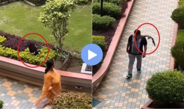 Video : चिडलेल्या कावळ्याने चालत असलेल्या लोकांवर केला हल्ला