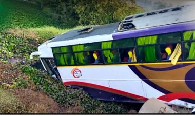 राज्यमार्गावरील पुलावरून बस कोसळली