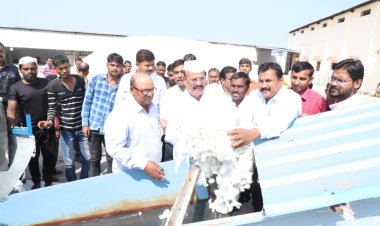 कापसाच्या रुई आधारित बाजारपेठेमध्ये शेतकऱ्यांचा सहभाग होणे महत्त्वाचे  - कृषिमंत्री  अब्दुल सत्तार         तालुक्यातील पांढरे सोने जाणार आंतरराष्ट्रीय बाजारपेठेत