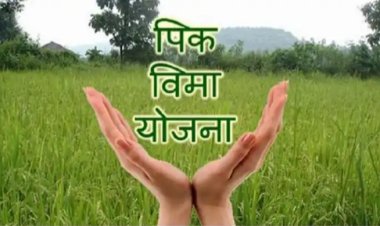 शेतकऱ्यांसाठी मोठी खुशखबर सरकारने घेतला हा निर्णय