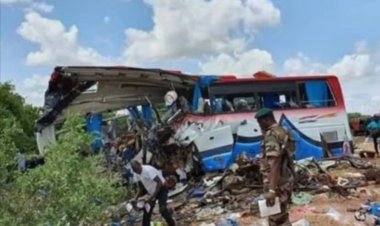 नदीवरील पुलावरून बस कोसळली