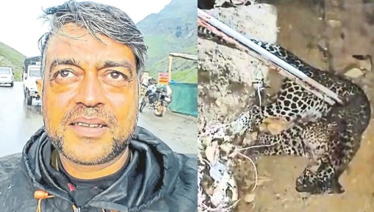 पाळीव प्राण्यासाठी घातला स्वतः चा जीव धोक्यात